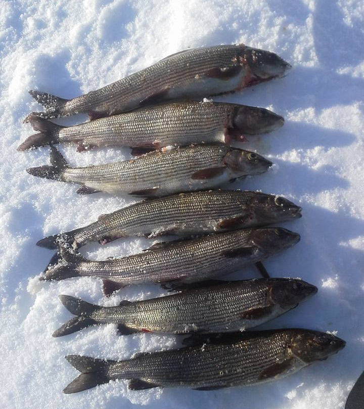 Inarin Kala Ukko-伊纳里必去景点