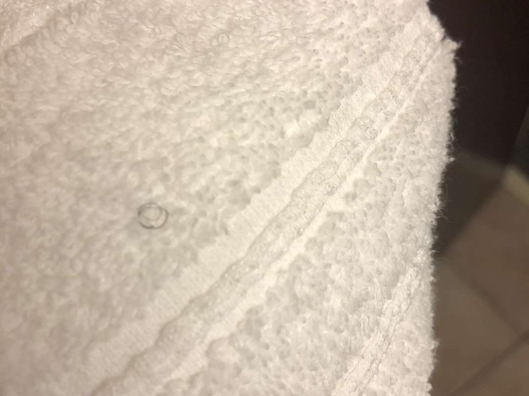 Microtel Inn & Suites by Wyndham Pearl River/Slidell主图