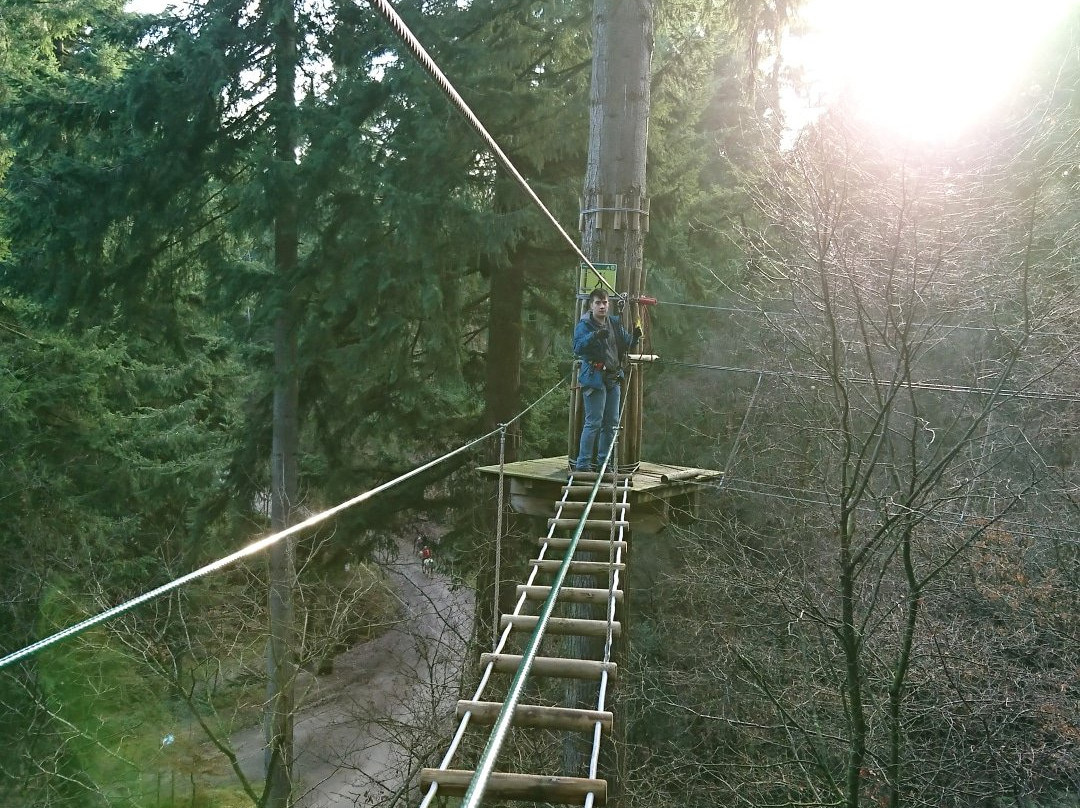 Go Ape Wyre景点图片
