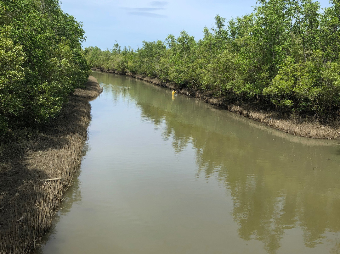 Bakhawan Eco-park and Research Centre-卡利波必去景点