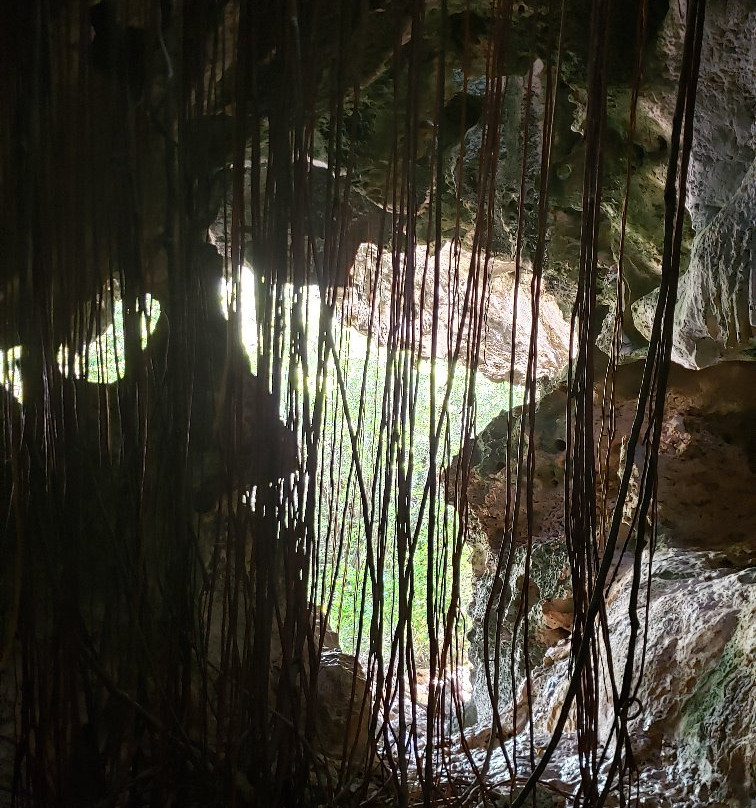 Cayman Brac Caves-Cayman Brac必去景点