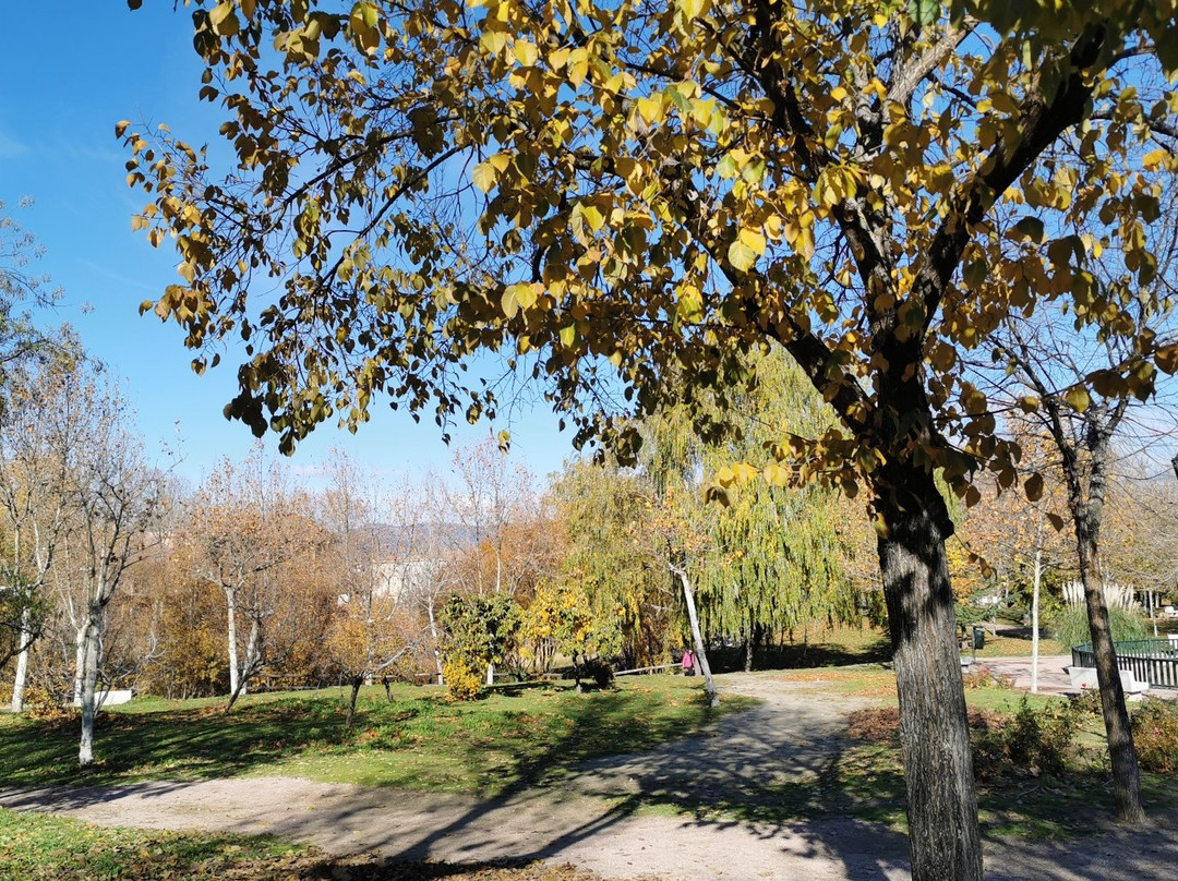 Parque de la Laguna del Carrizal-Collado Villalba必去景点
