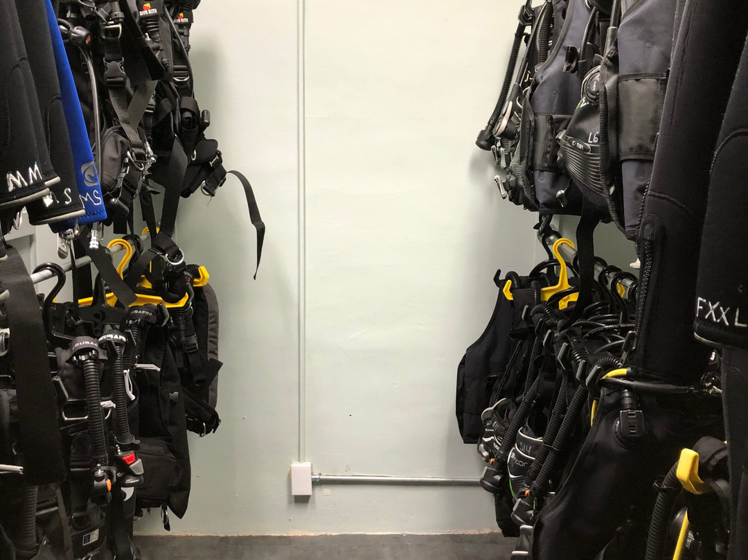 Bubbles or Not-Harlem必去景点