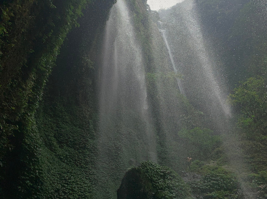 Traveling Banyuwangi-巴纽旺宣必去景点