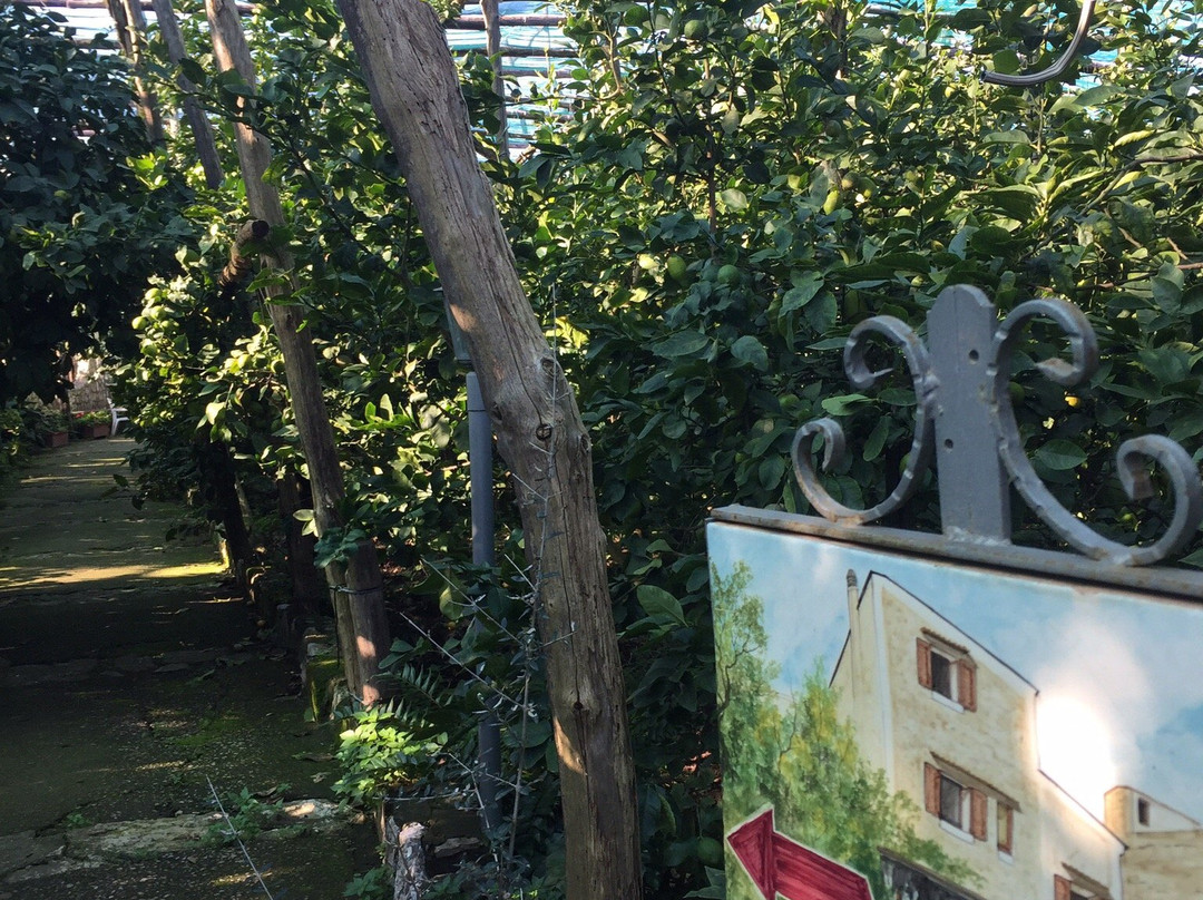 Agriturismo "Il Giardino di Vigliano"主图