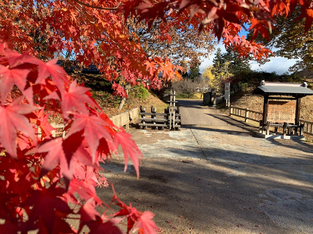 Takanashikan-ato Park-中野市必去景点