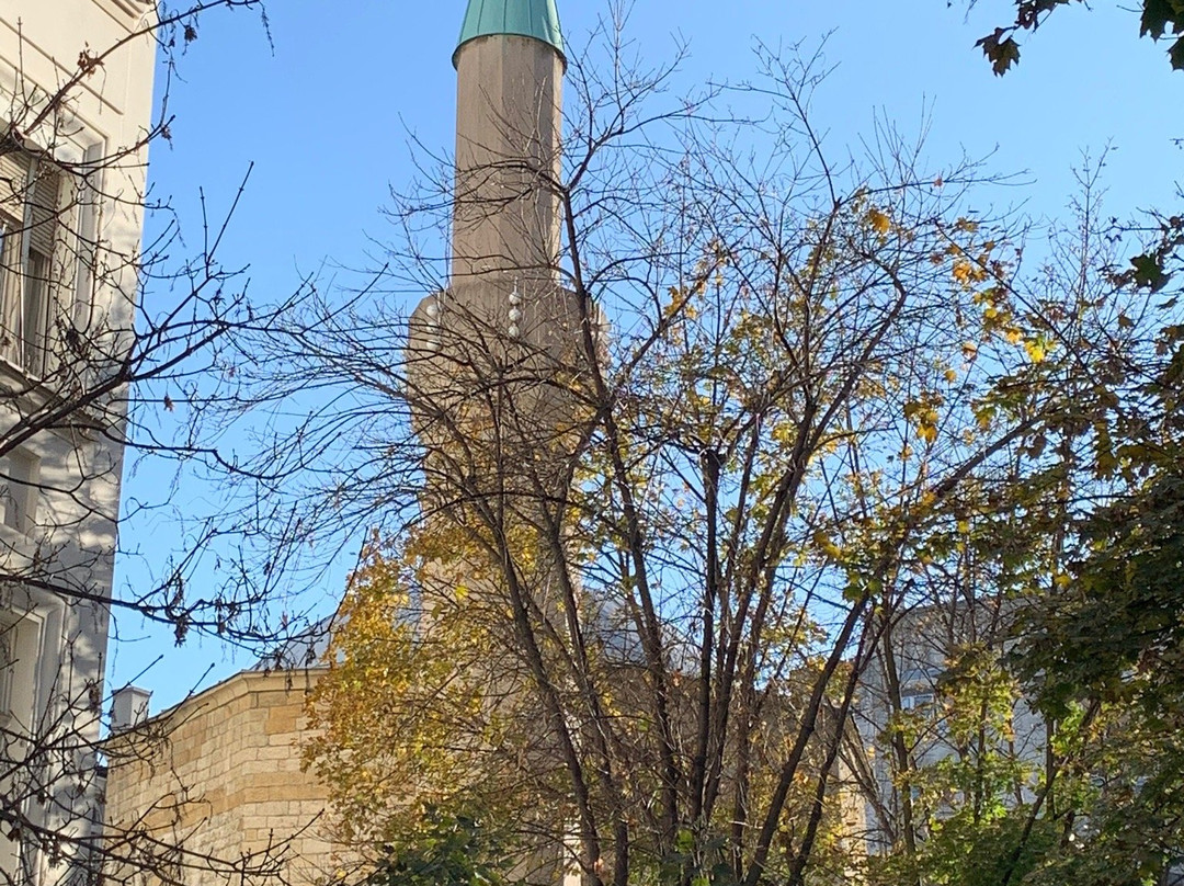 Bayraklee mosque (Bajrakli džamija)-贝尔格莱德必去景点