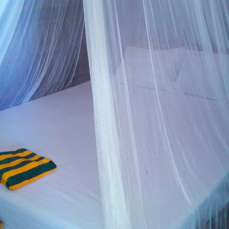 Raja Ampat Sunrise Homestay主图