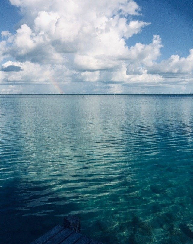 Agave Blue Bacalar主图