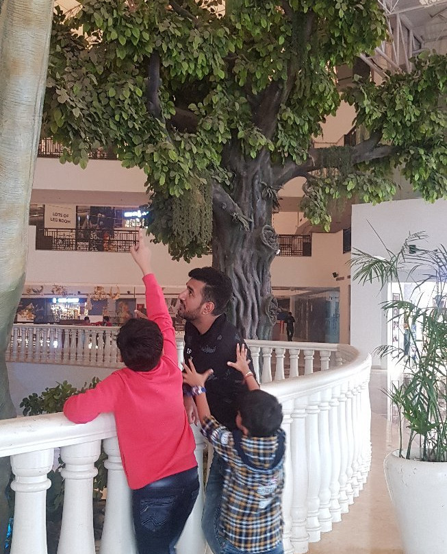 Oh!Max-诺伊达必去景点