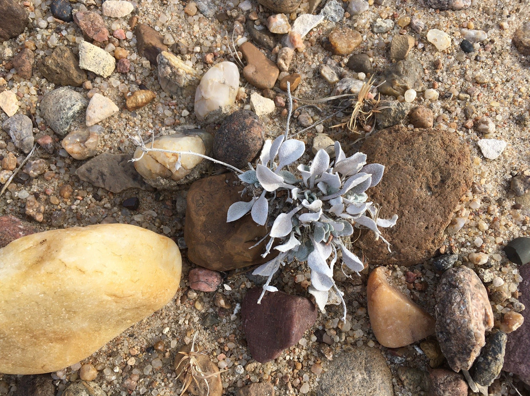 Smoky Valley Ranch-Oakley必去景点