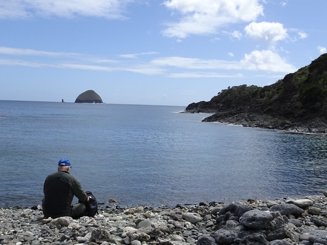 Lord Howe Island Walking Trails景点图片