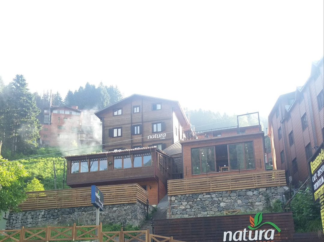 Natura Lodge主图