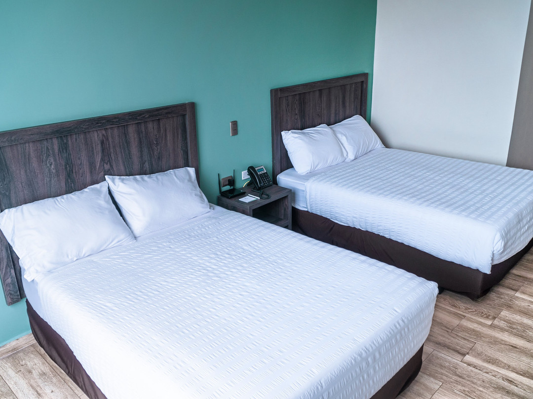 REEC Machala by Oro Verde Hotels主图