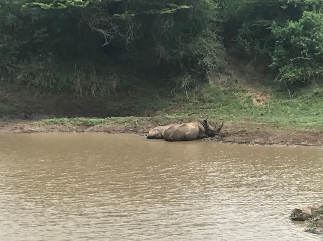 Mpila Camp Hluhluwe Imfolozi Reserve-圣露西亚必去景点