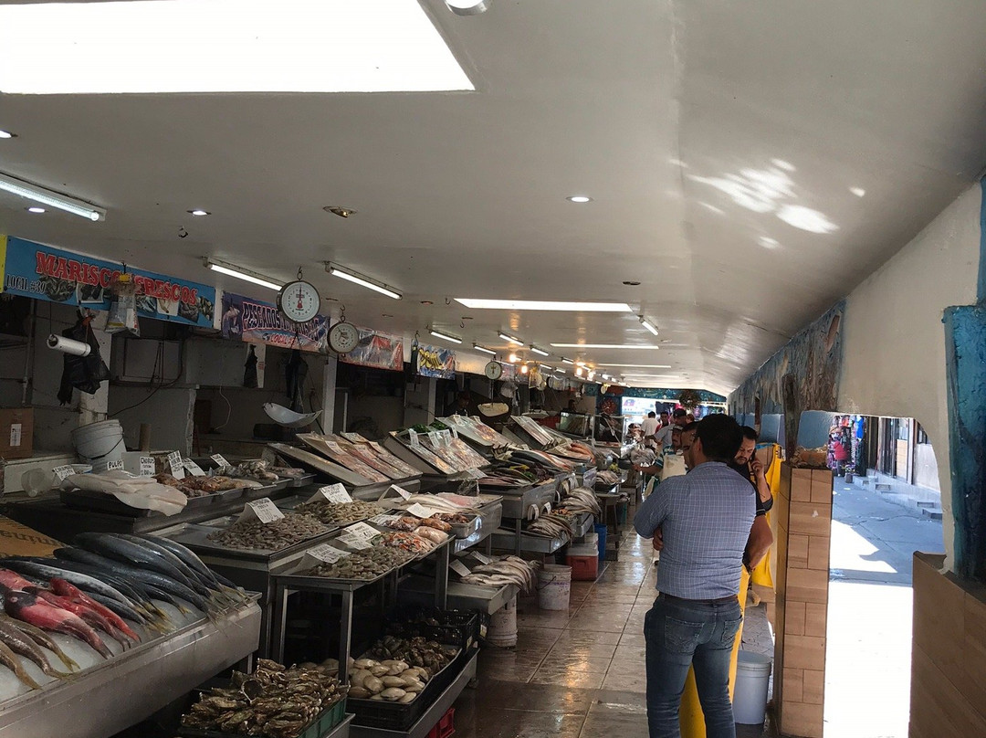 The Fish Market景点图片