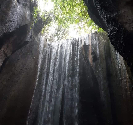 THE VOYAGE BALI by Hendra Guide Francophone Bali-乌布必去景点