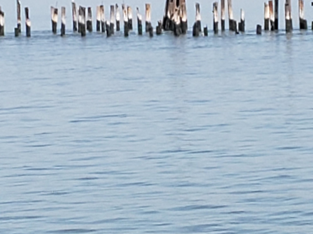 Point Pinole-列治文必去景点