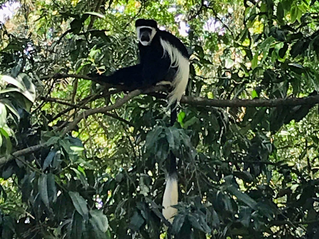 Imperial Botanical Beach Hotel主图