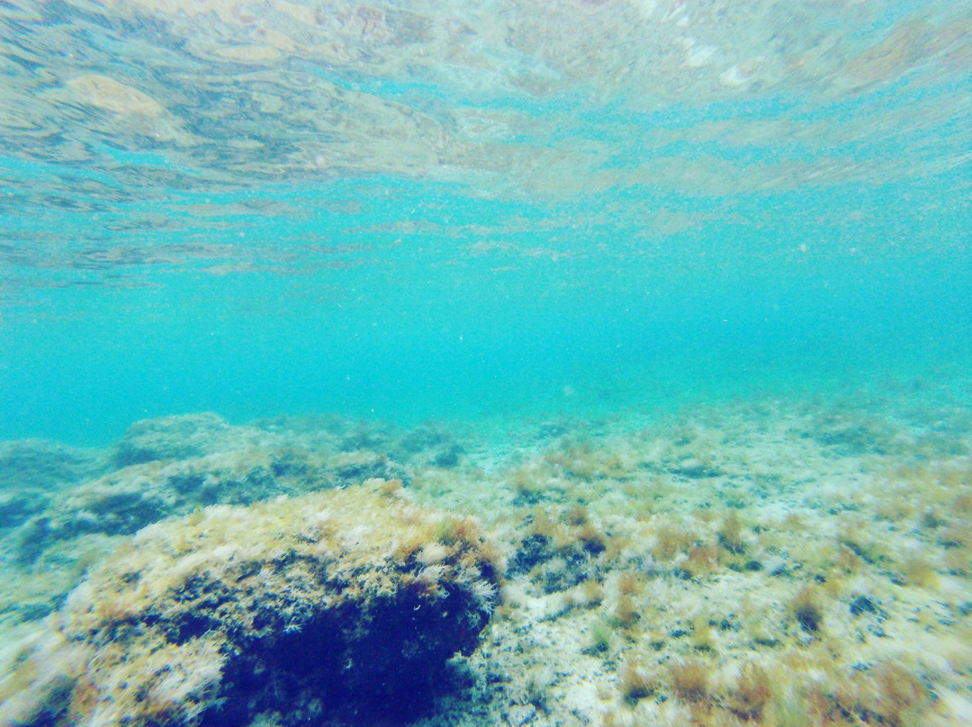 Blue Lagoon Croatia景点图片
