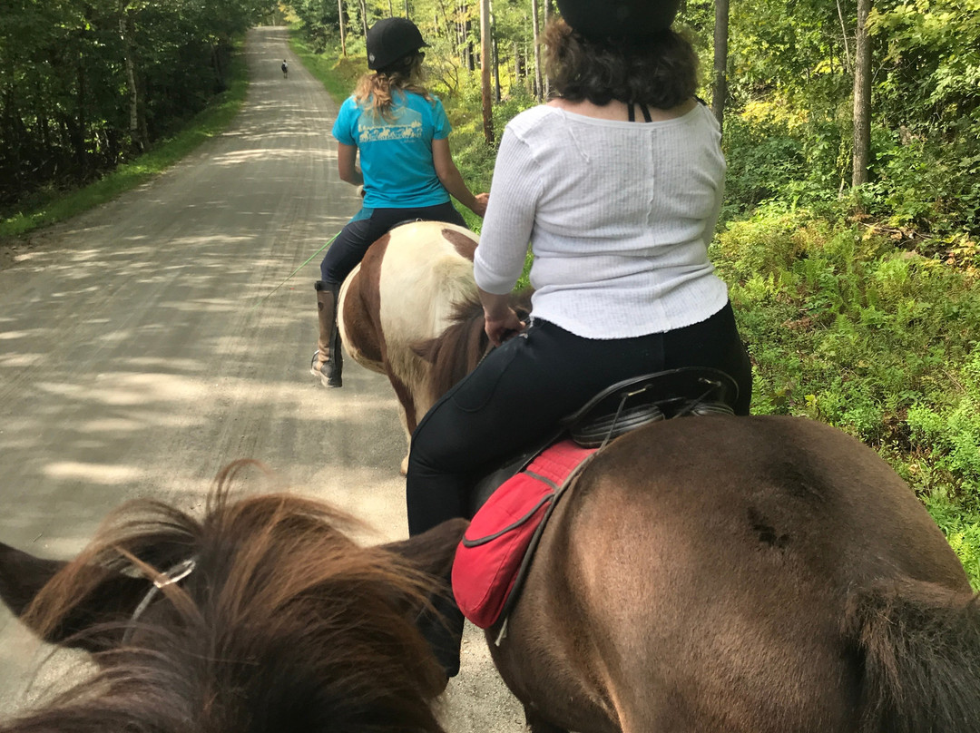 Vermont Icelandic Horse Farm-Moretown必去景点