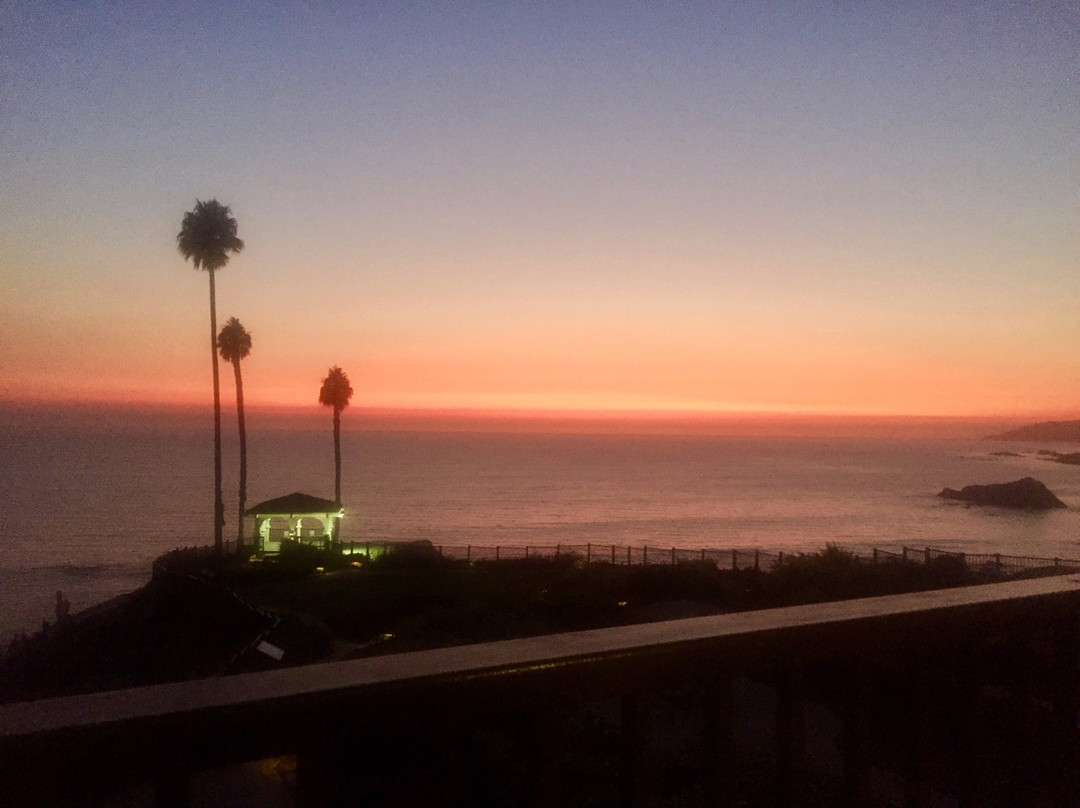 Pismo State Beach景点图片