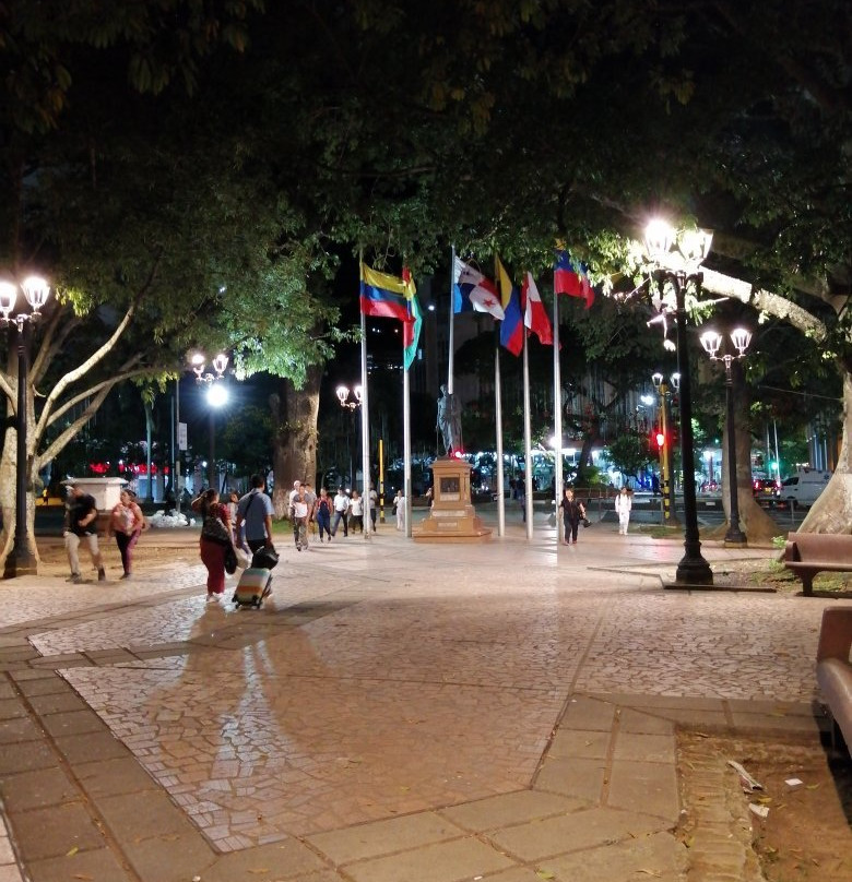 Plaza de Bolivar景点图片