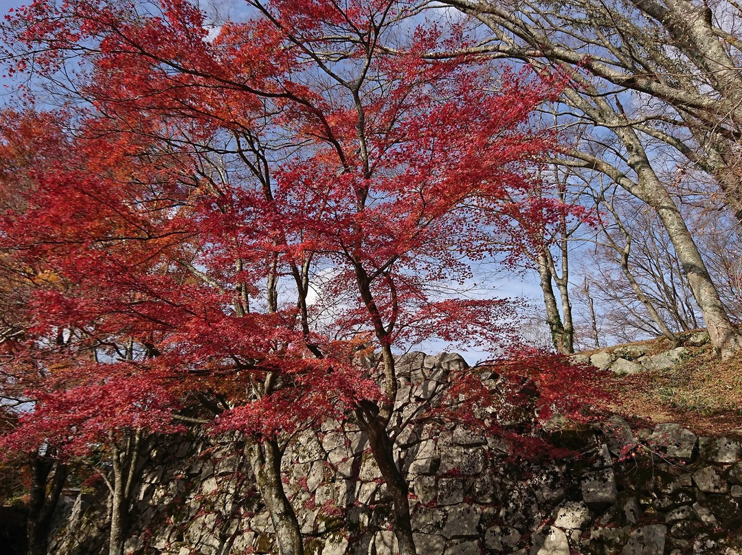 Tsuwano Castle景点图片