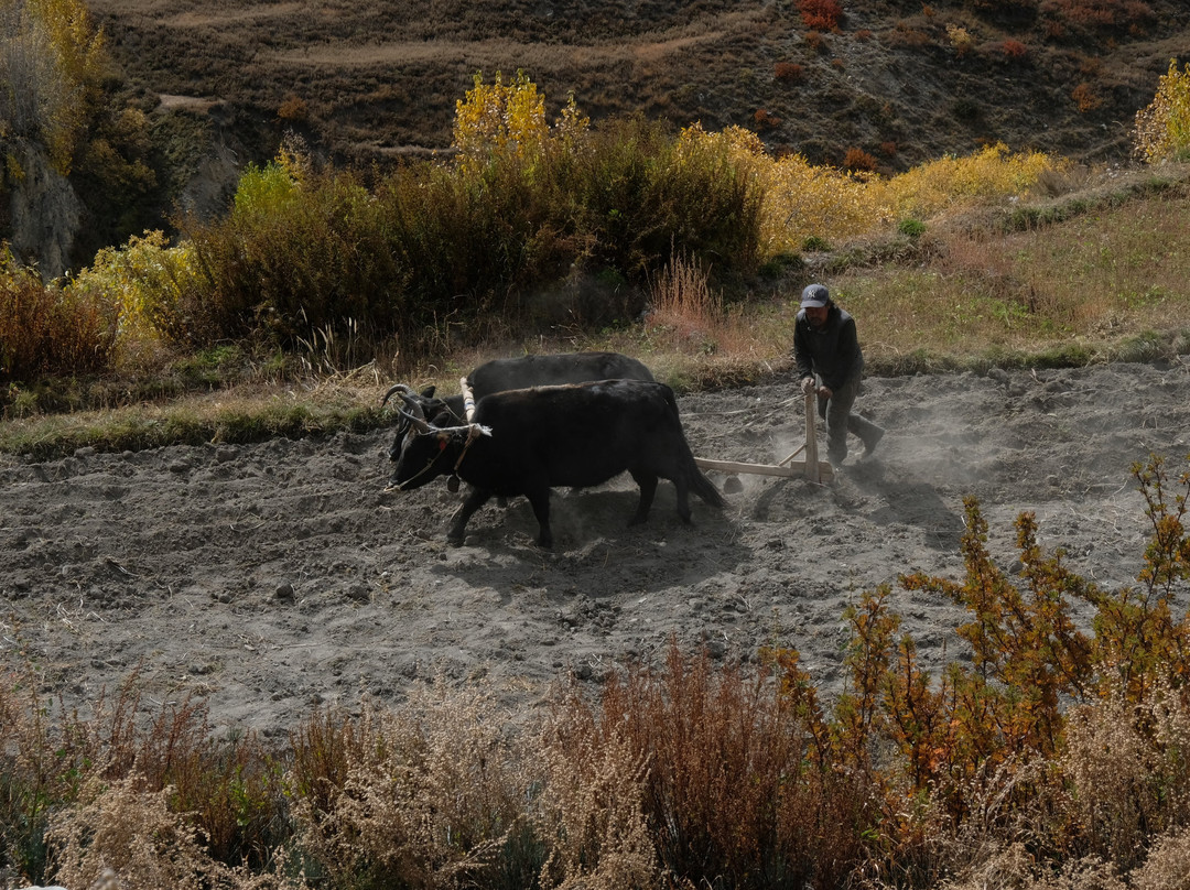 Annapurna Circuit-Manang必去景点