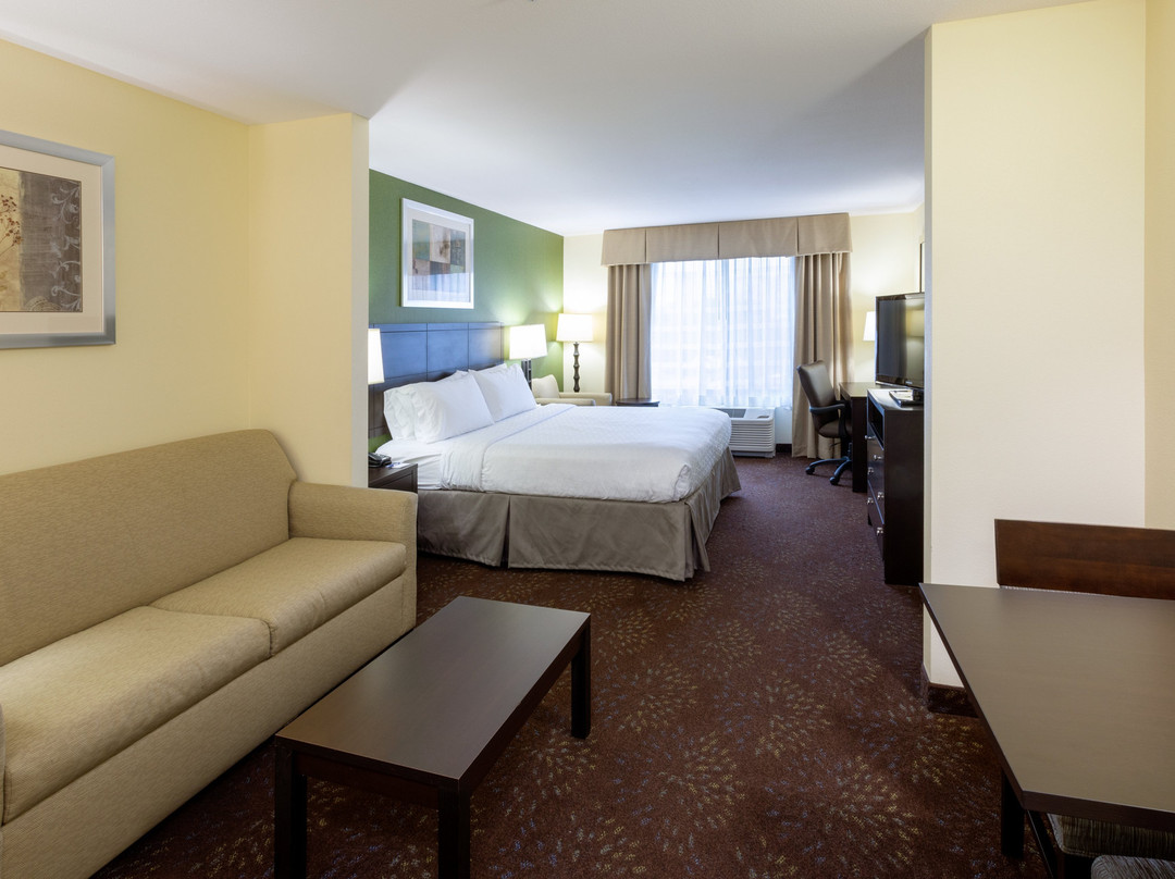 Holiday Inn Express & Suites Rochester Mayo Clinic Area by IHG主图