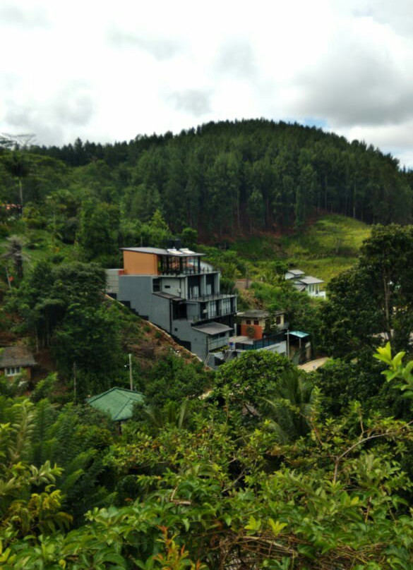 Pine Hill Residence主图