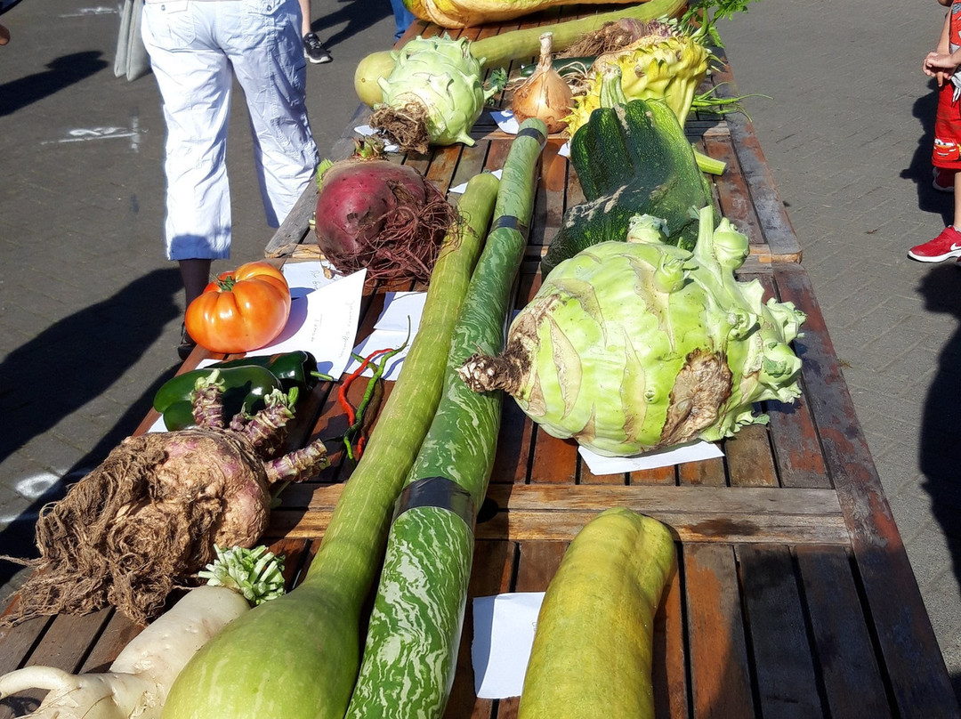 Krewelshof-Lohmar必去景点