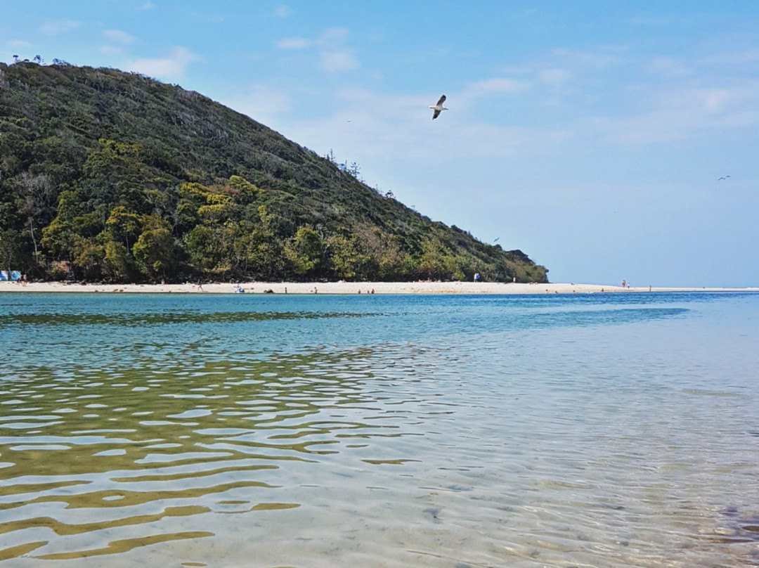 Action Outdoor Hire-棕榈海滩必去景点