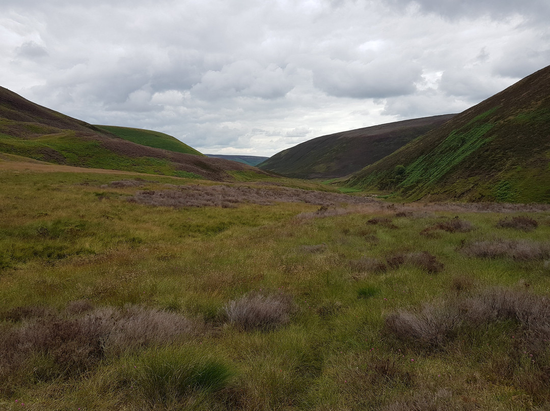 Forest of Bowland Area of Outstanding Natural Beauty景点图片