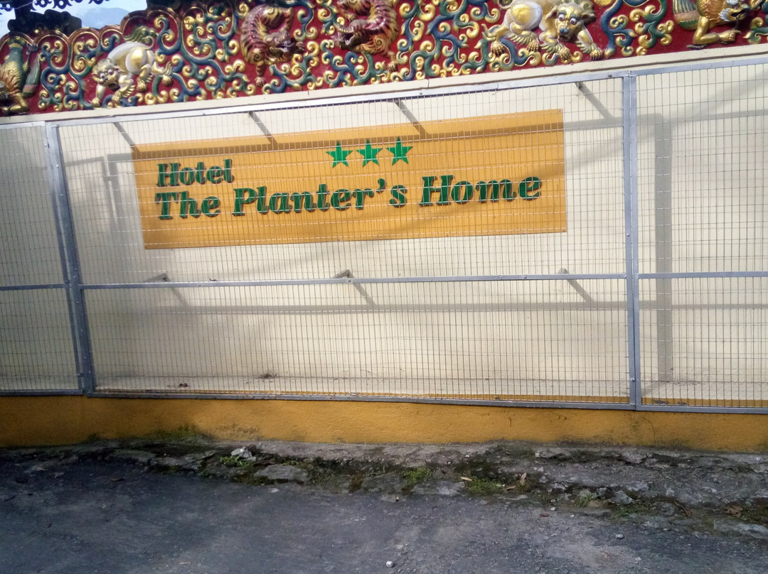 The Planters Home主图