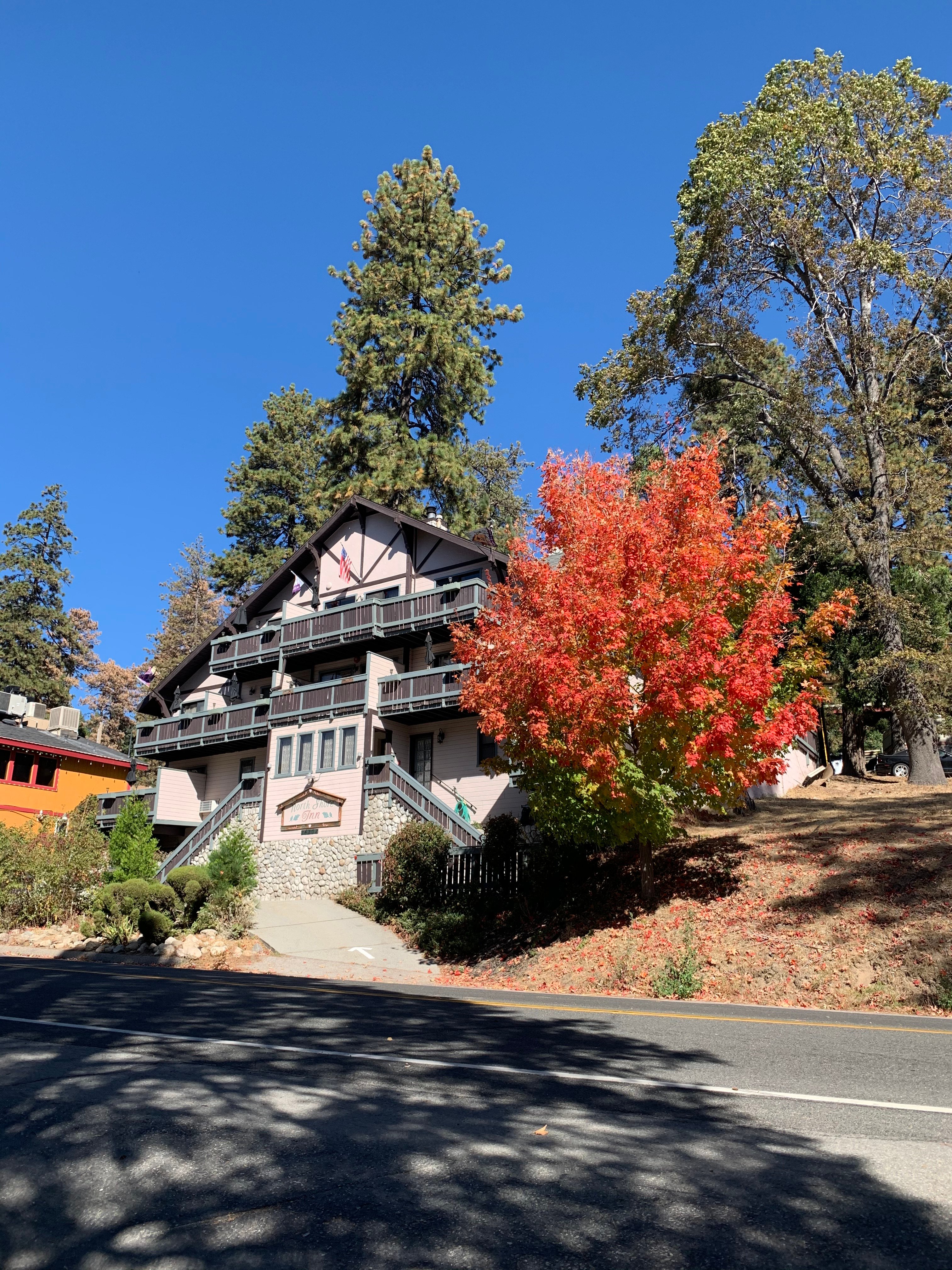 The North Shore Inn-portrait