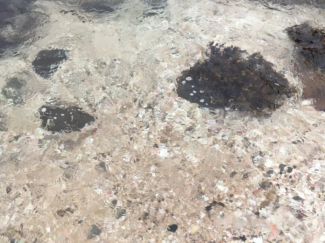 Shell Beach景点图片