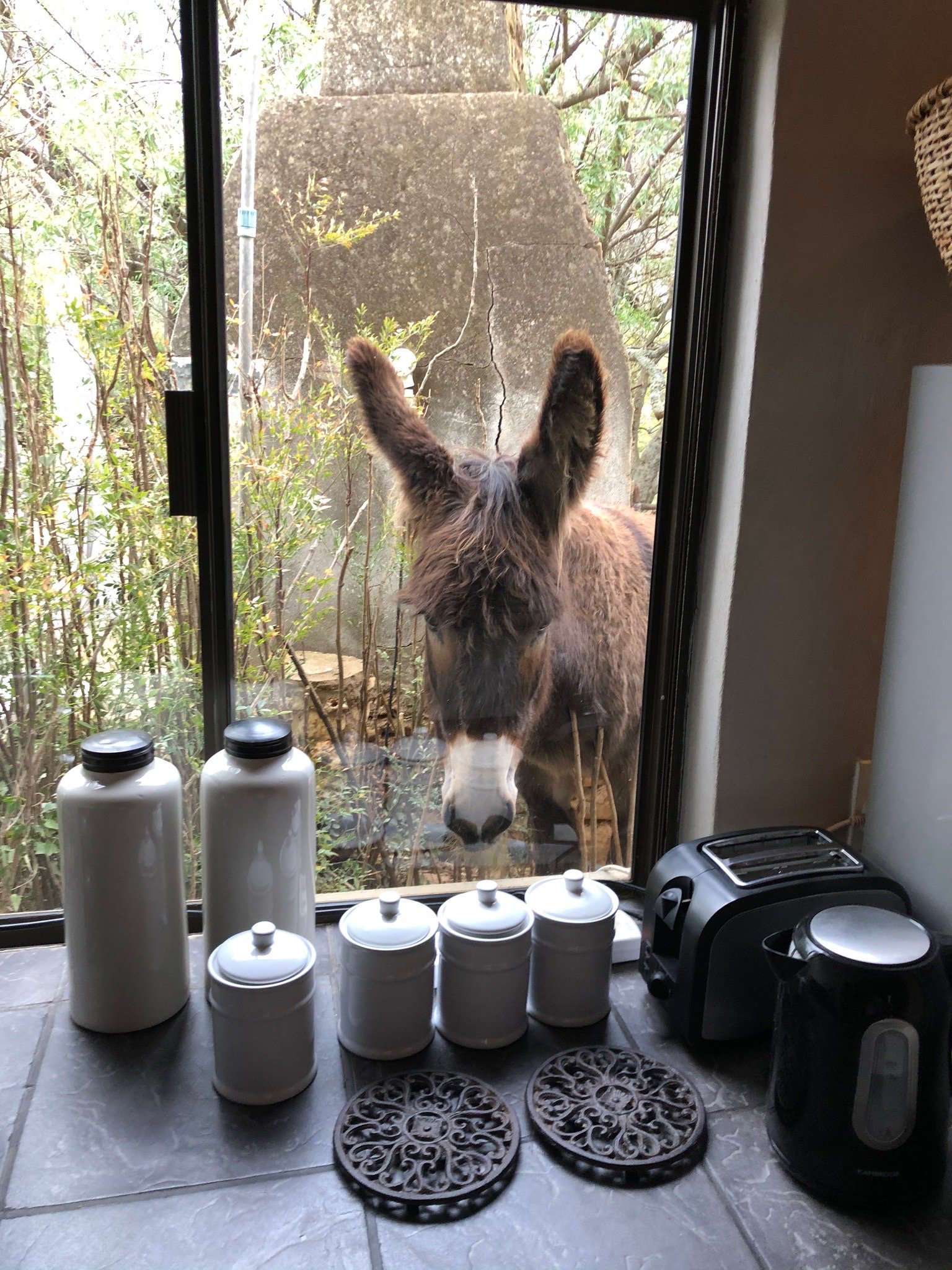 Moroc-Karoo Country Guesthouse-官方