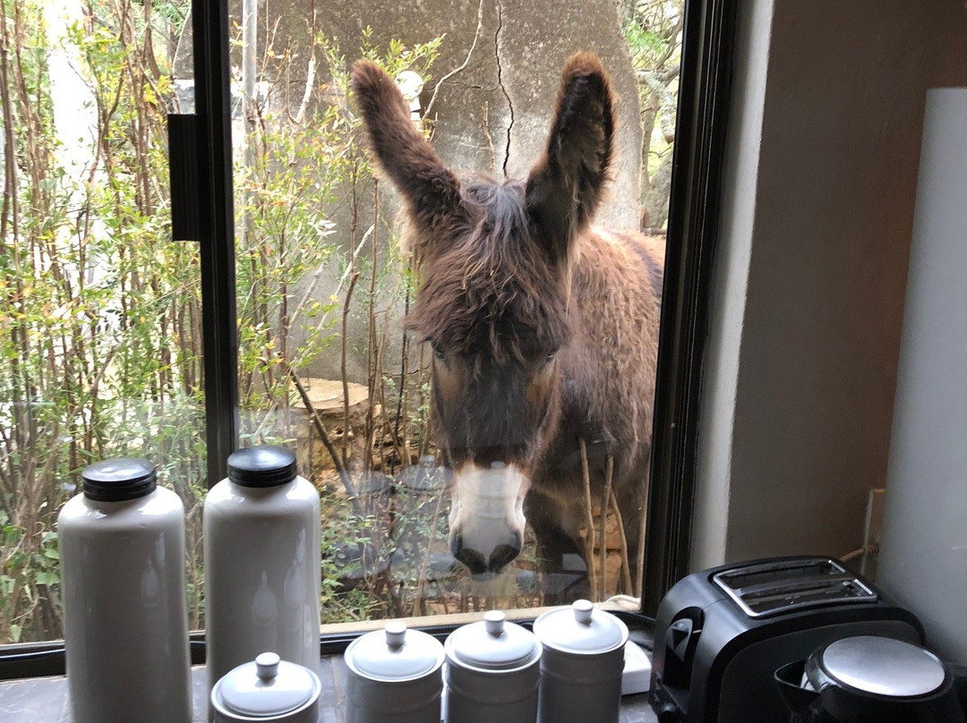 Moroc-Karoo Country Guesthouse主图