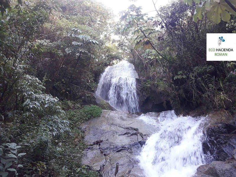 Eco Hacienda Roman主图