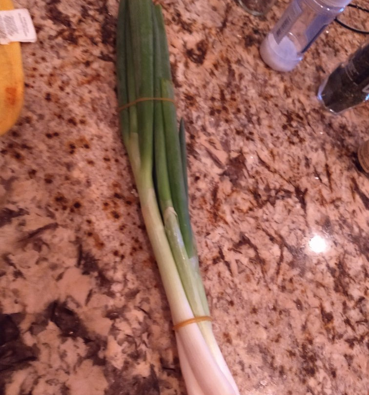 Dane County Farmers' Market-麦迪逊必去景点