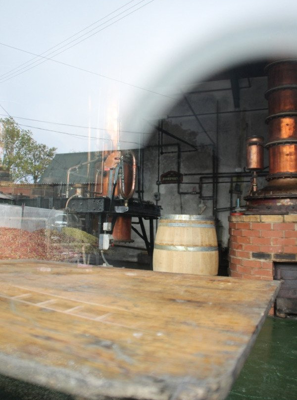 Somerset Cider Brandy Company景点图片