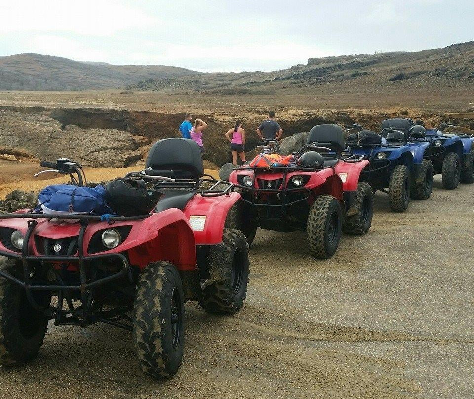 Aruba Go Cherry ATV Tours & More