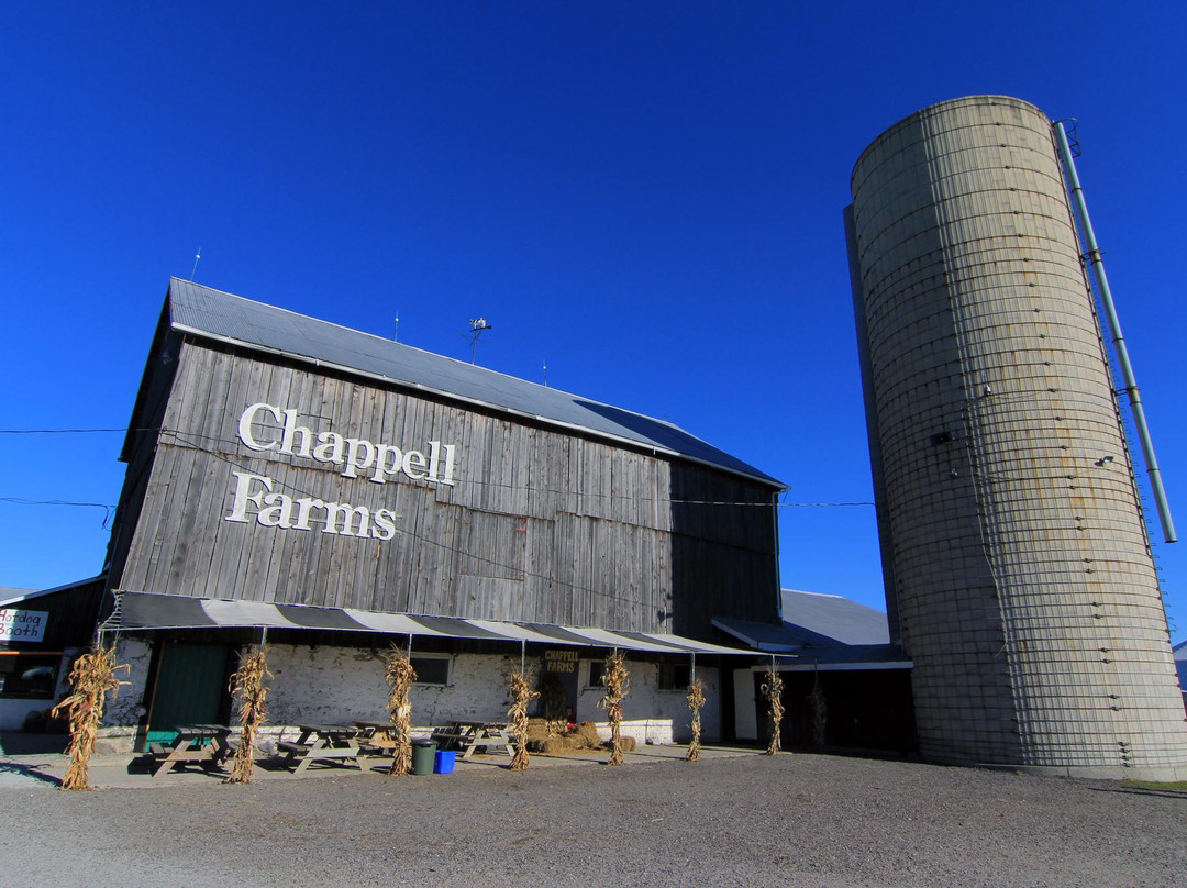 Chappell Farms景点图片
