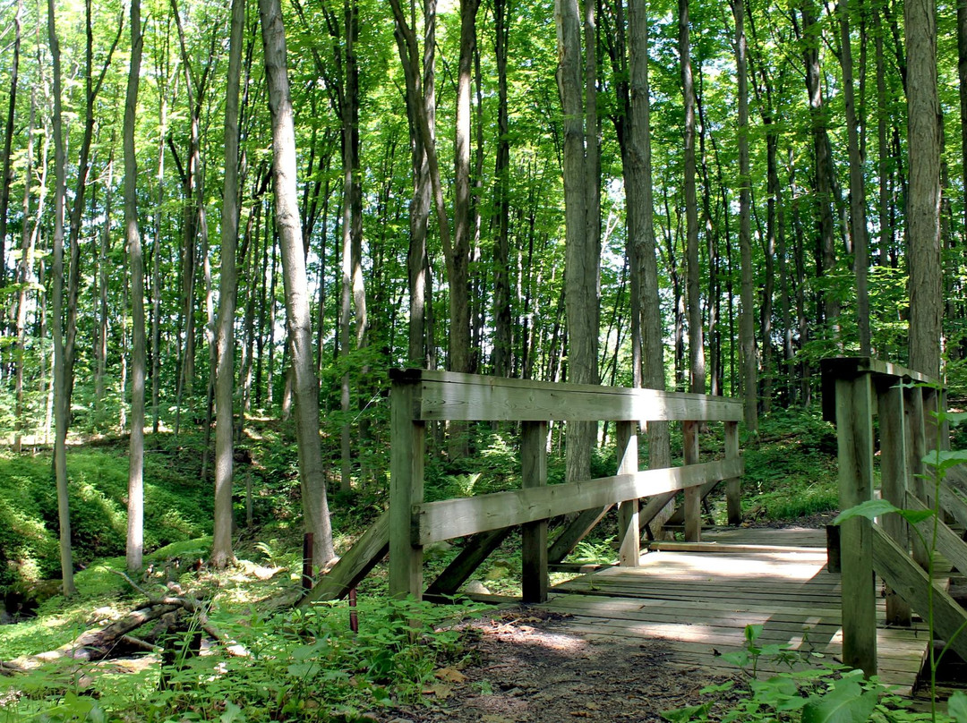 Glen Haffy Conservation Park