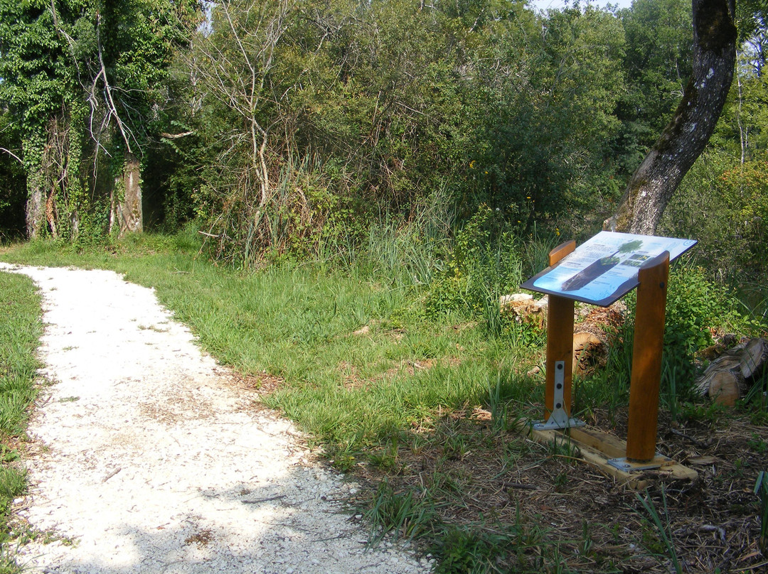 Site Naturel des Tourbieres