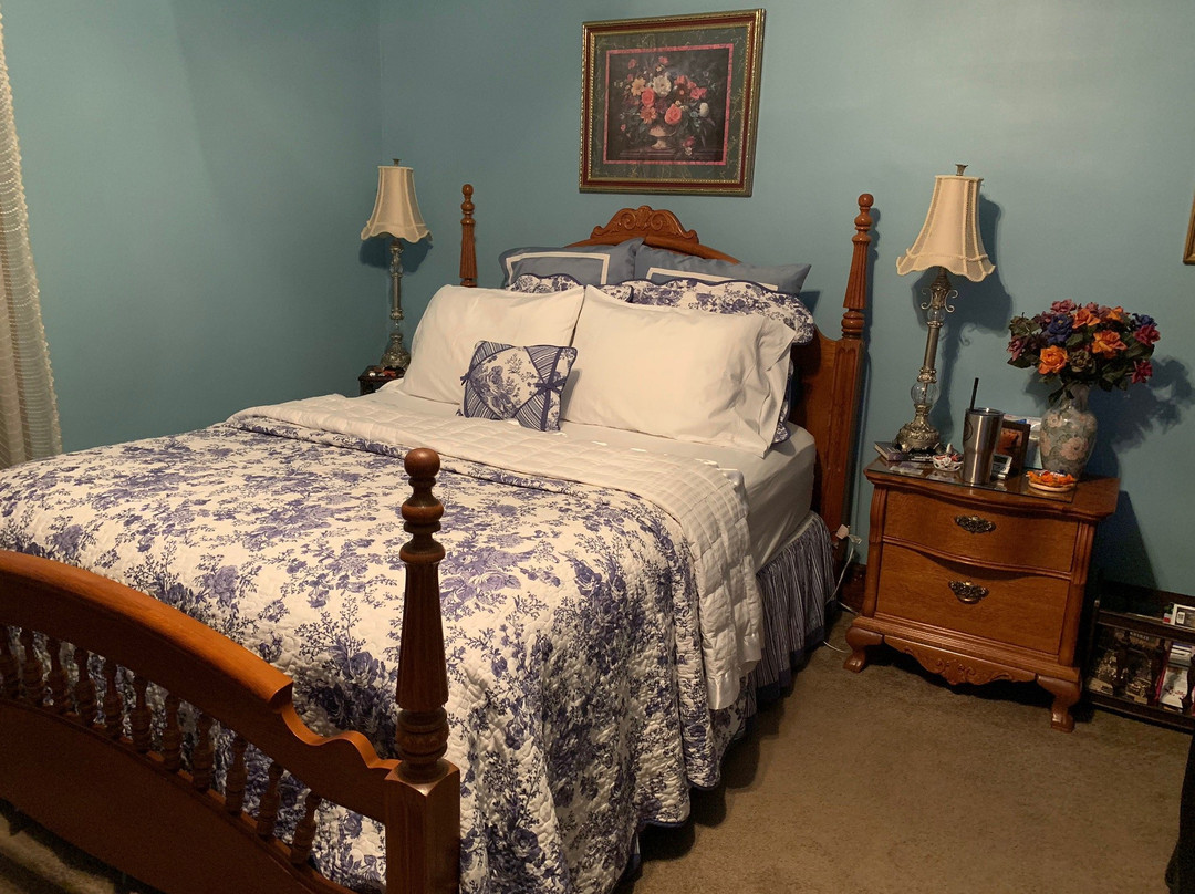 Bubble Gun B&B主图