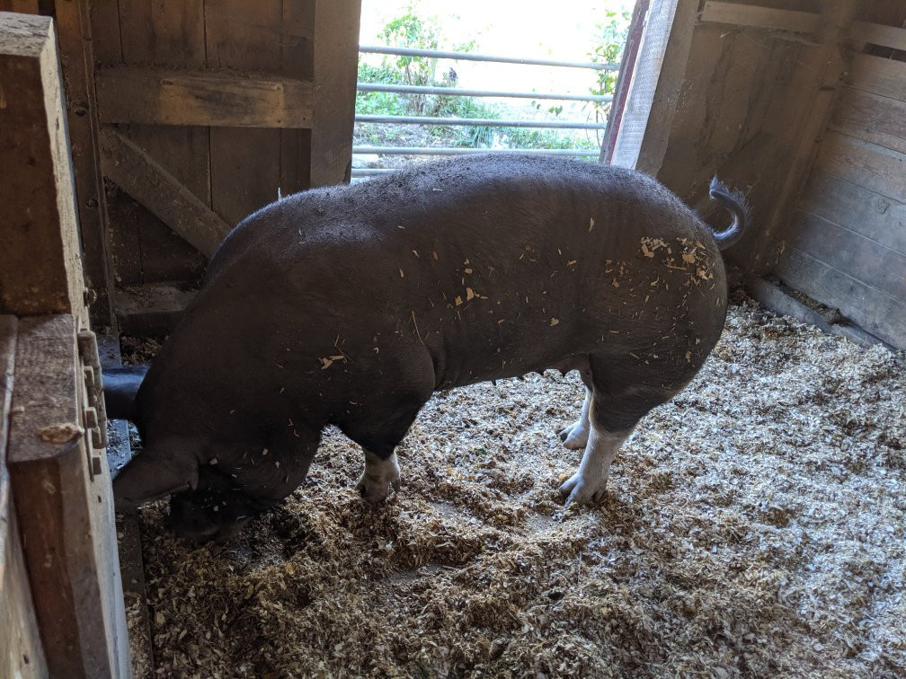 Muscoot Farm-Katonah必去景点