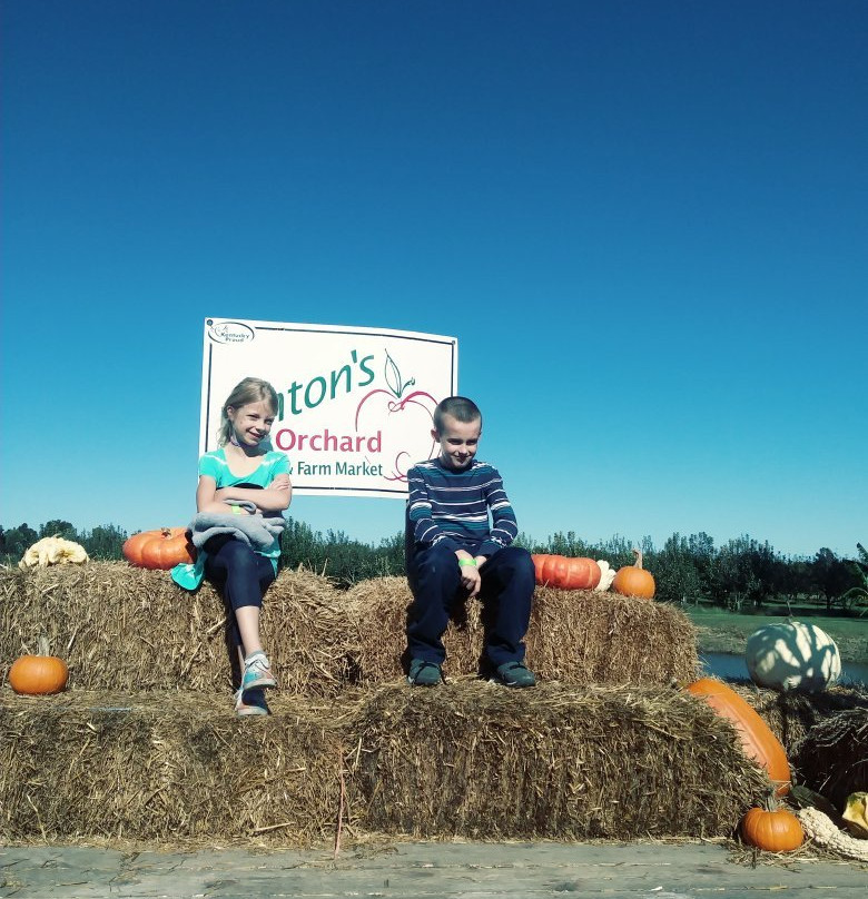 Hinton's Orchard & Farm Market景点图片