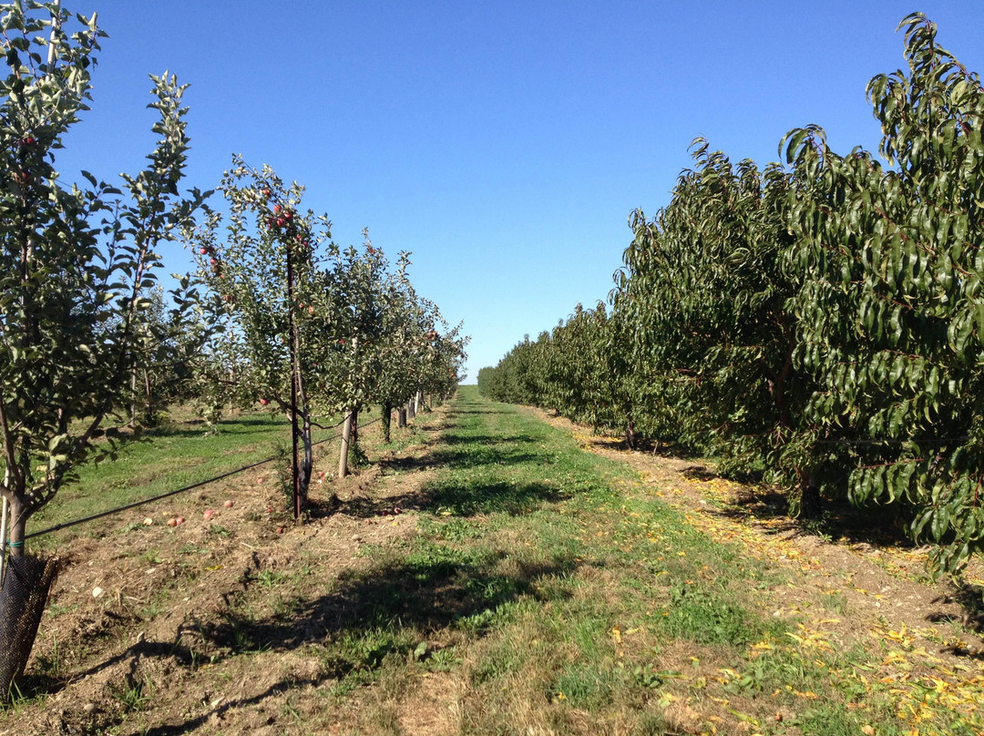 Hopewell Junction旅游景点-Fishkill Farms